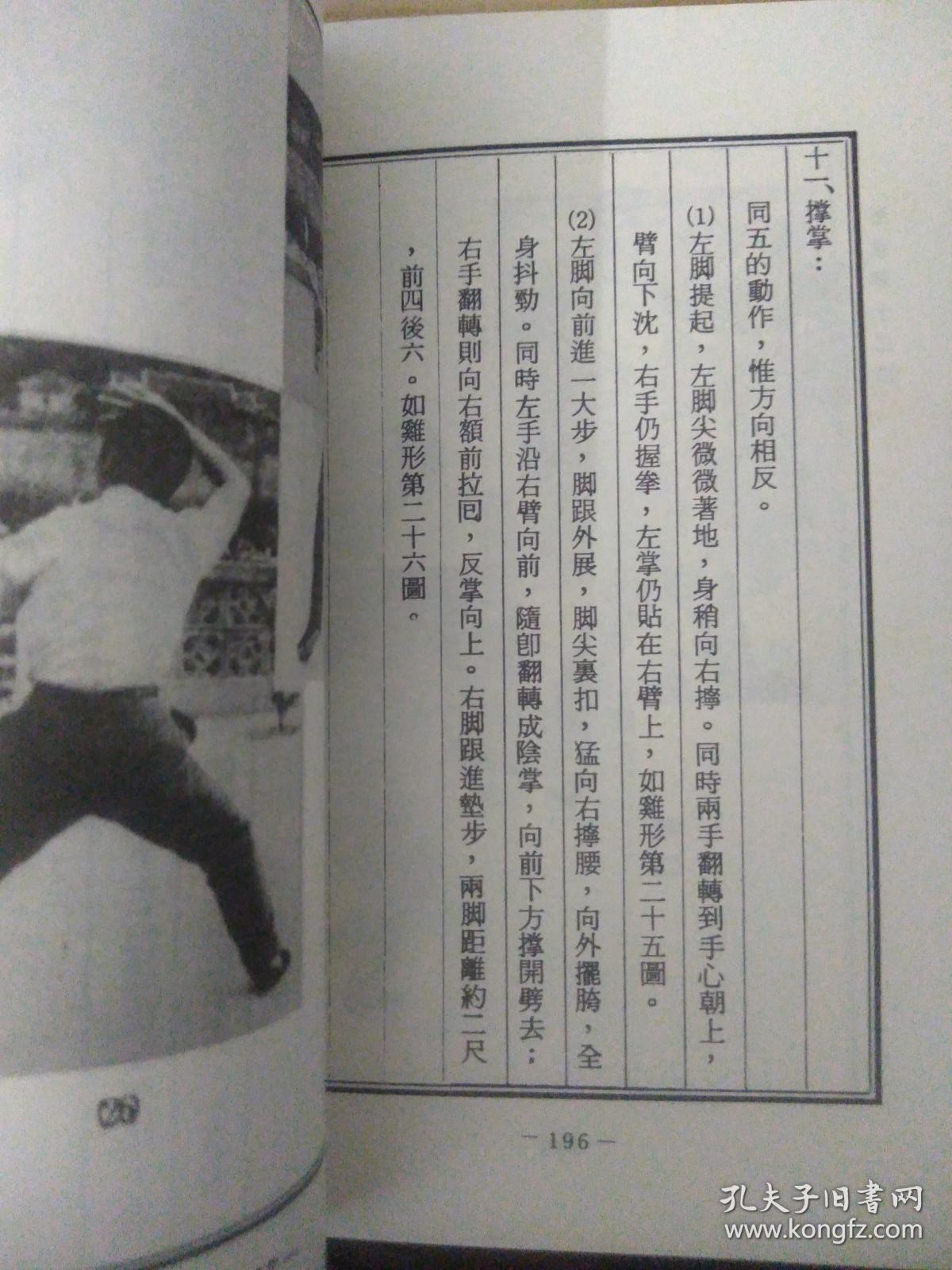形意拳十二形