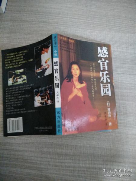 《感官乐园》低价购书_[日]渡边淳一_文学_孔网