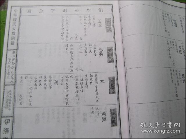 家谱.族谱:中华程氏大成宗谱(湖北大冶县杨岭庄)胜六公派下伯子世系