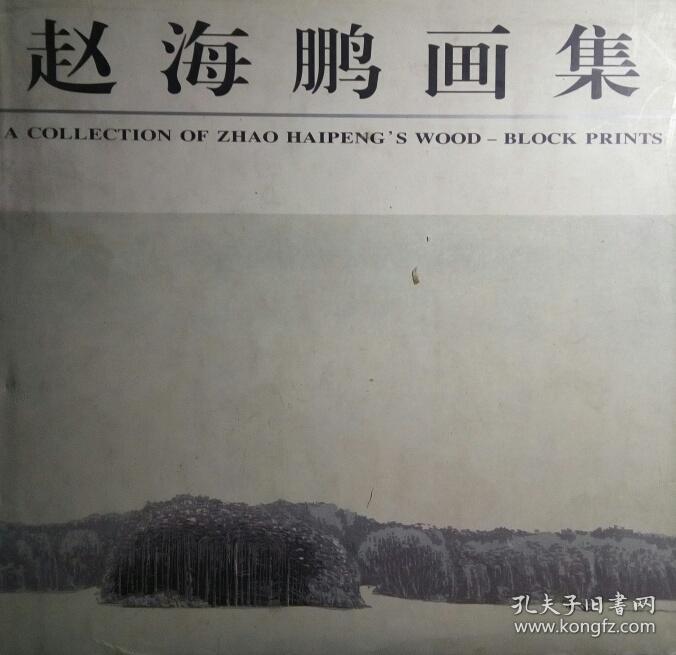 sf19 赵海鹏画集(精装有护封,98年1版1印,12开画集,著名水印版画家