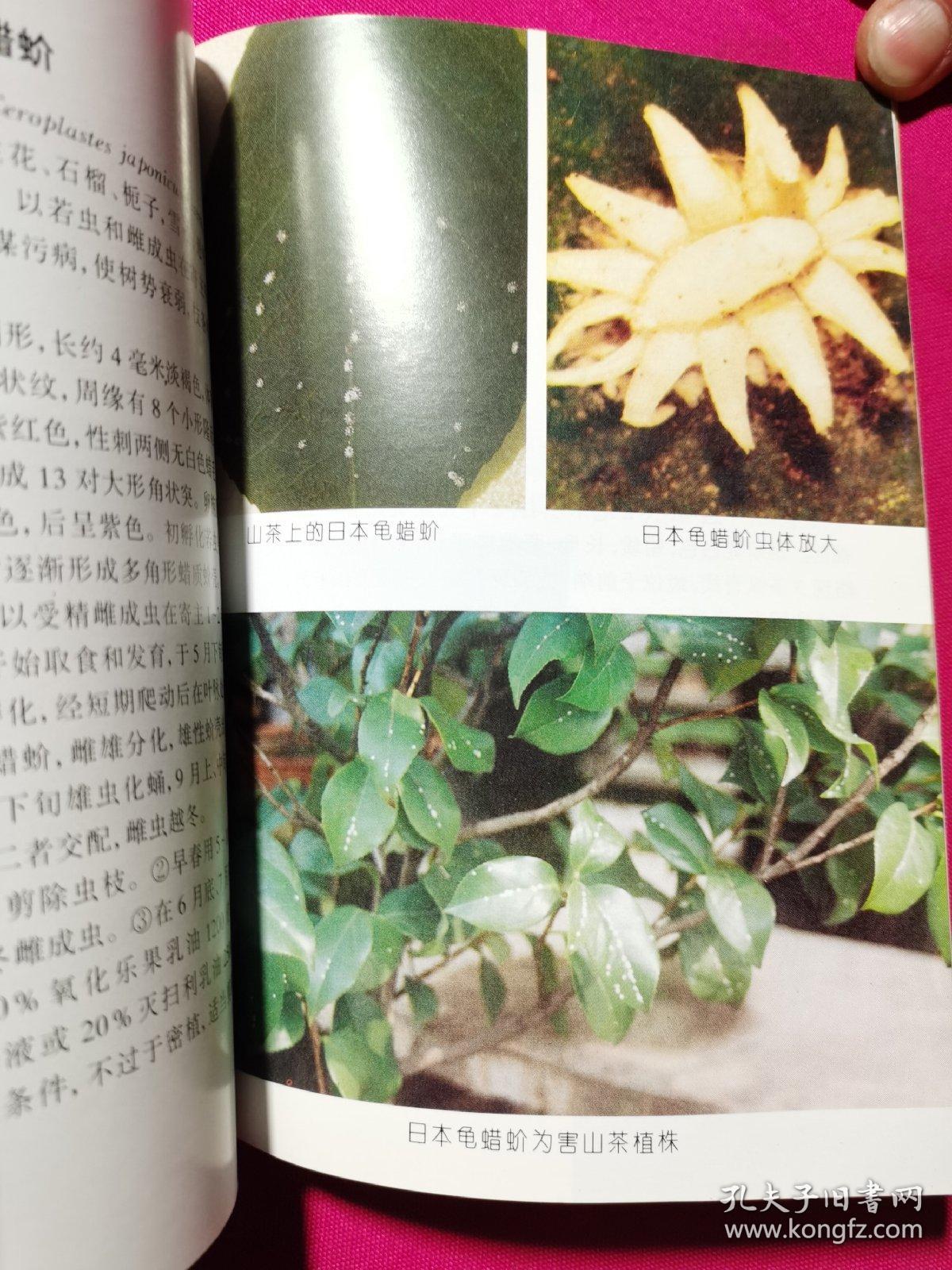 花卉病虫害原色图谱
