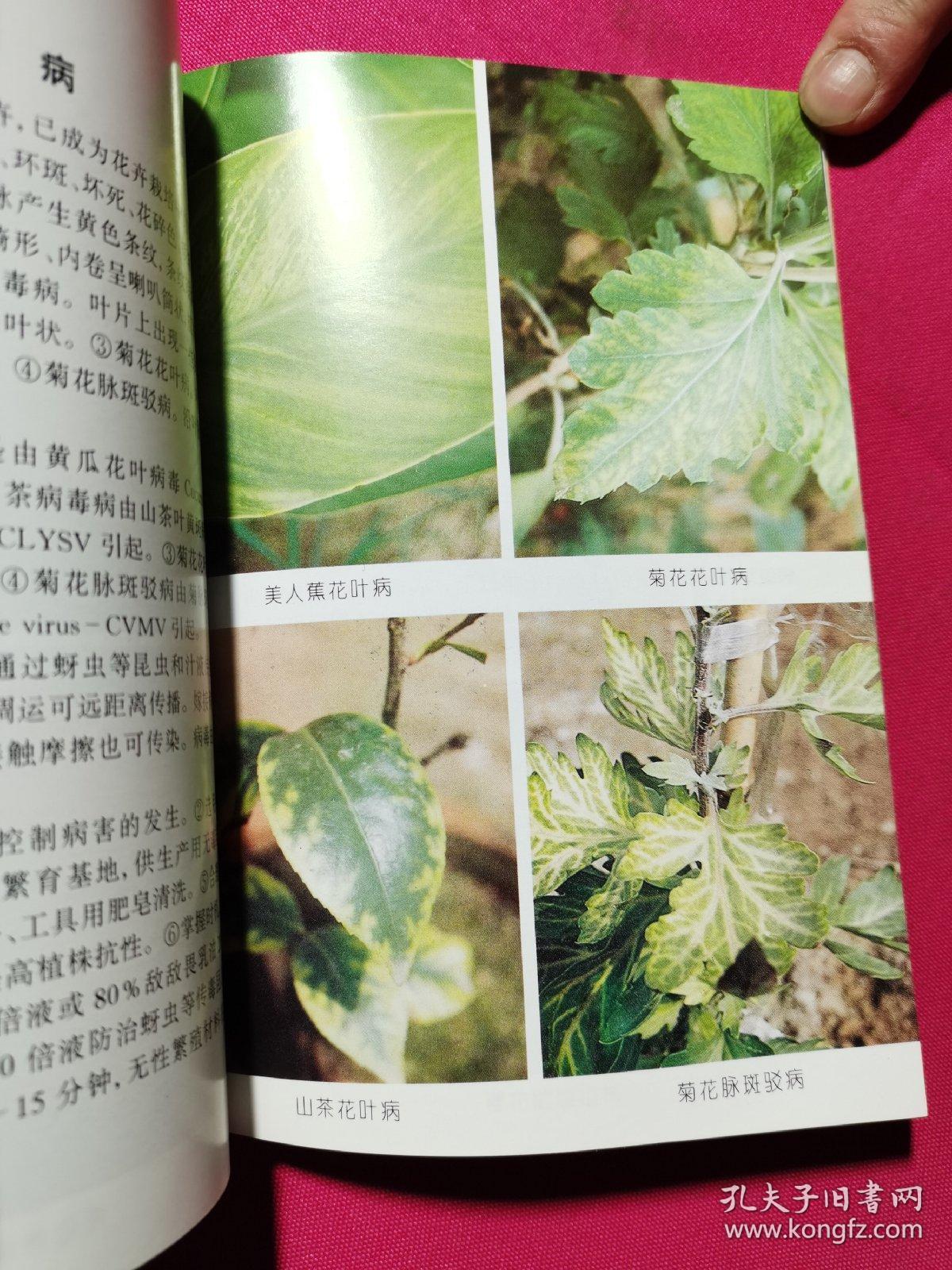 花卉病虫害原色图谱