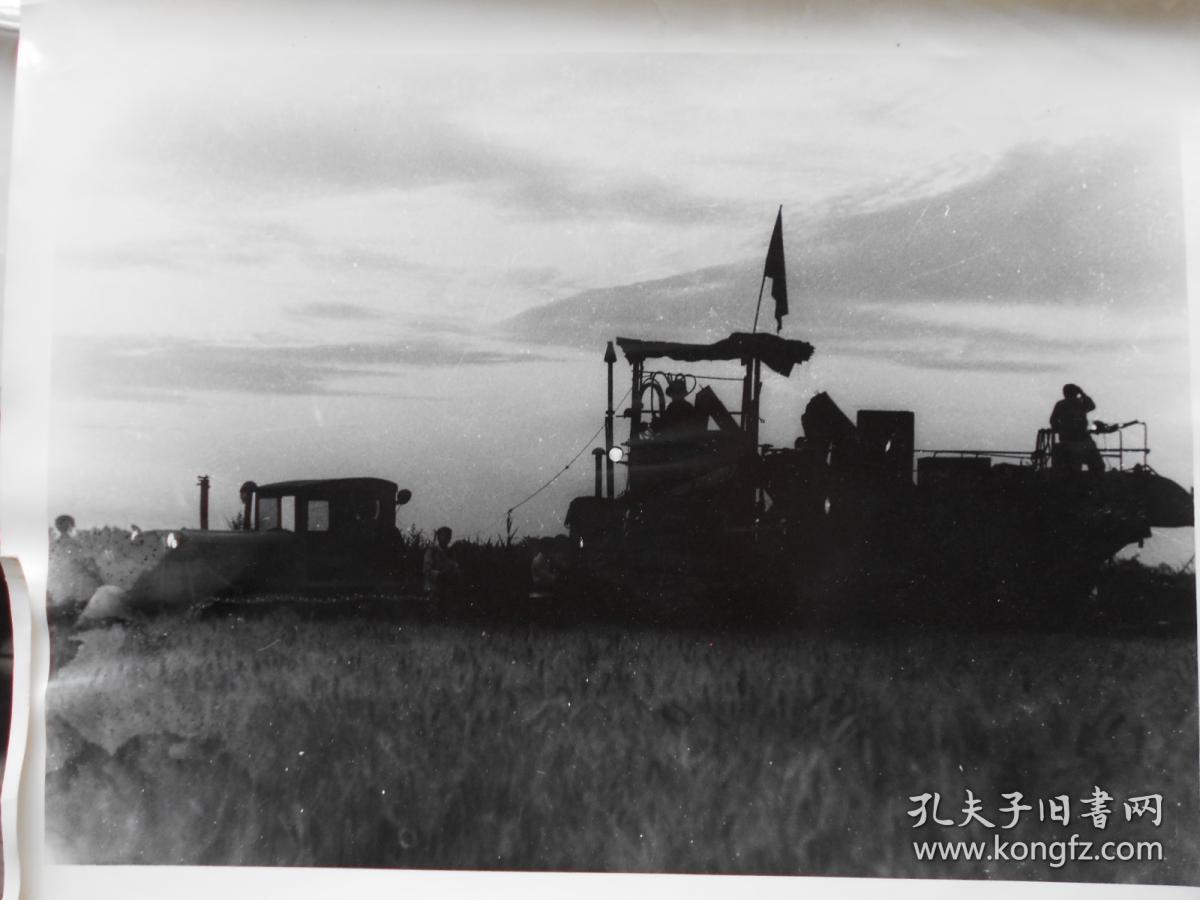 老照片【80年代,农场机械化收割机,飞机治虫,水果丰收,晒棉花,放牛