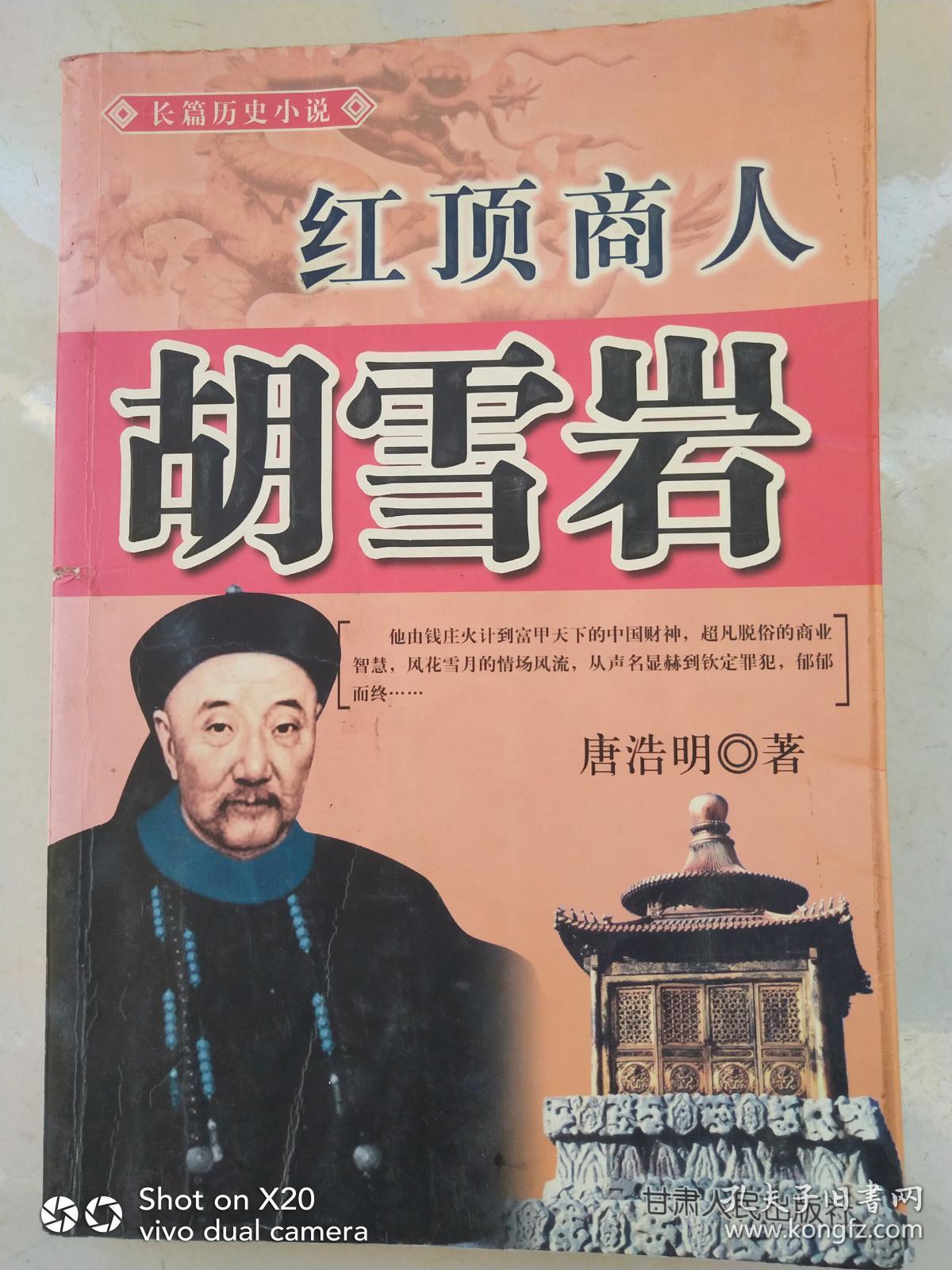 红顶商人 胡雪岩