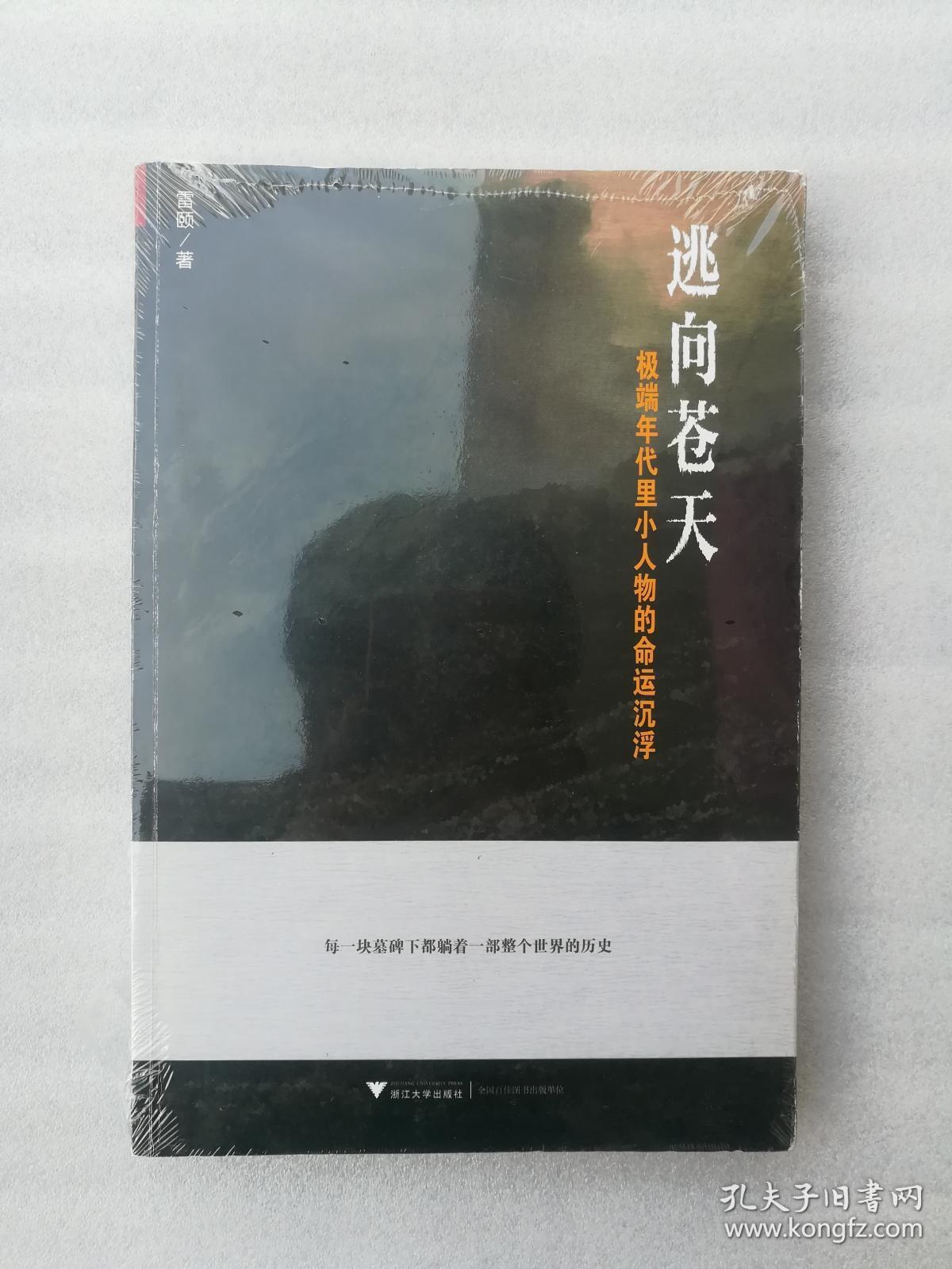 逃向苍天:极端年代里小人物的命运沉浮