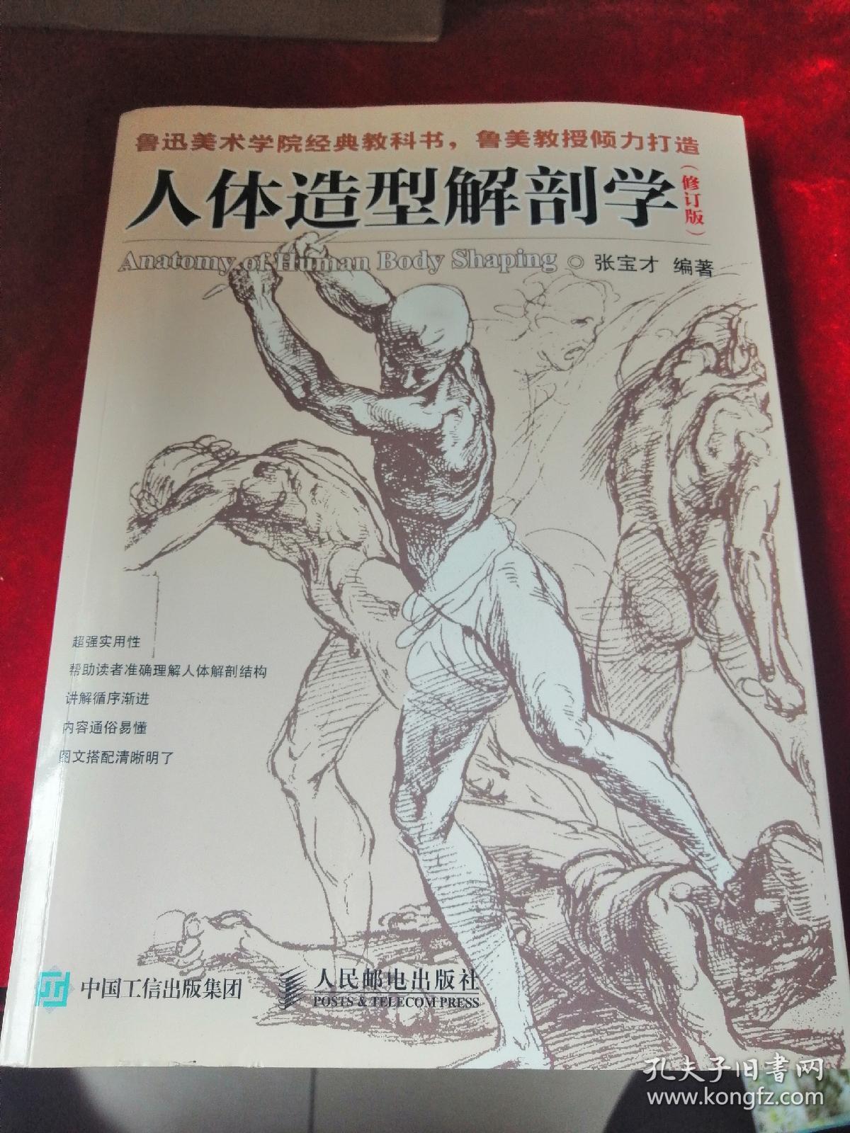 人体造型解剖学
