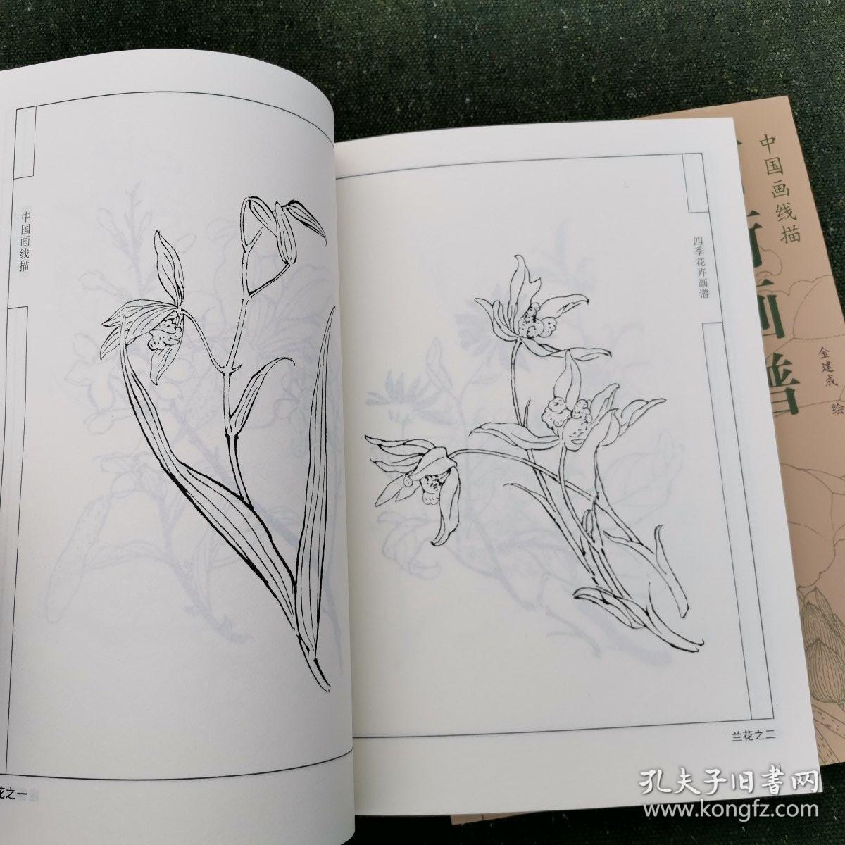 【五本合售包快递】中国画线描白描 百荷画谱 四季花卉画谱 百石画谱