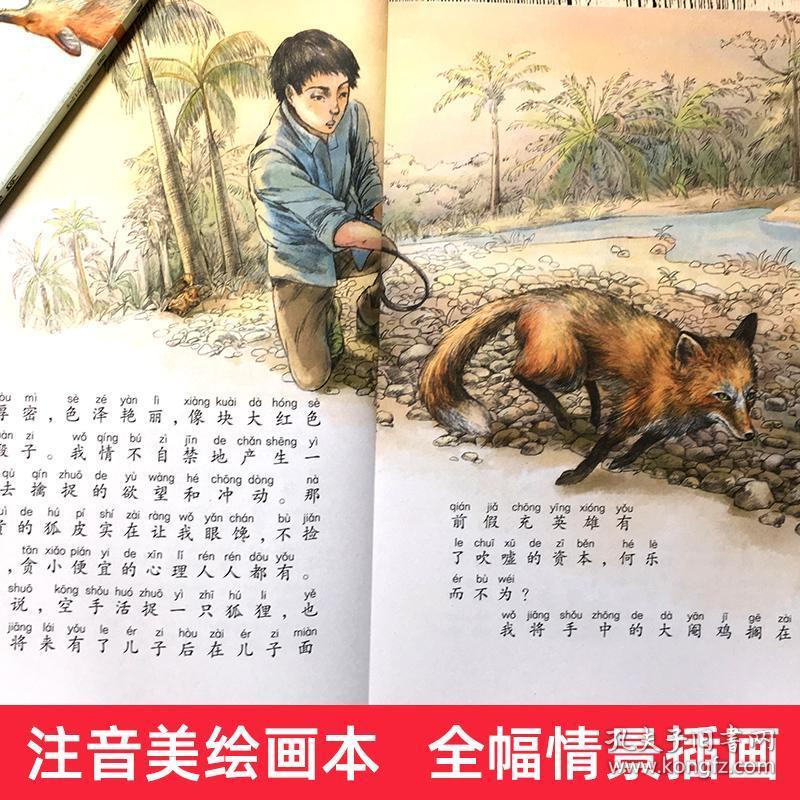 全4册正版书 沈石溪动物小说全集注音版 最后一头战象