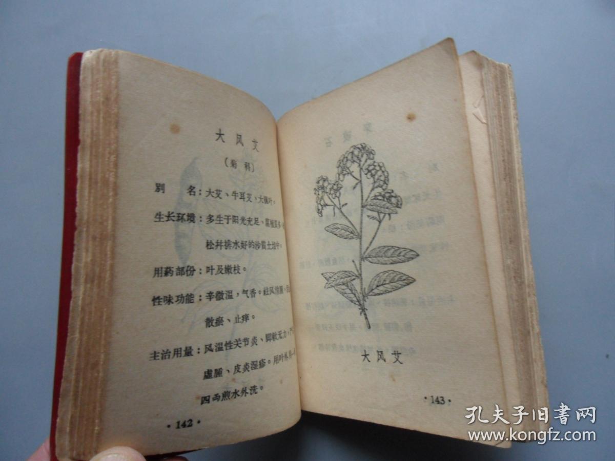 【农村常见病民间中草药验方手册】广东高鹤县地方药书,验方与草药