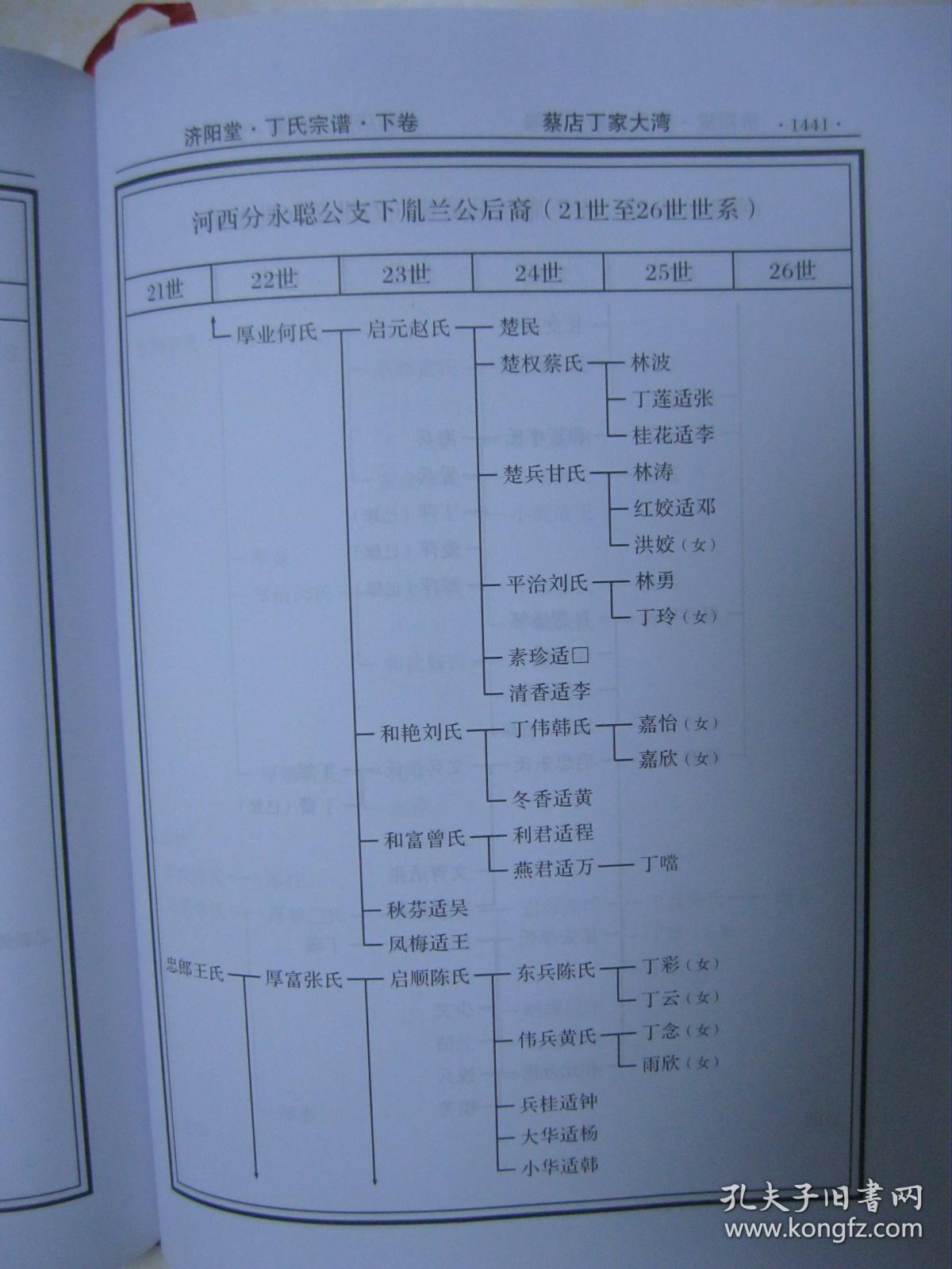 丁氏宗谱(全三本即上卷,中卷,下卷,济阳堂.湖北省武汉市黄陂区一带.