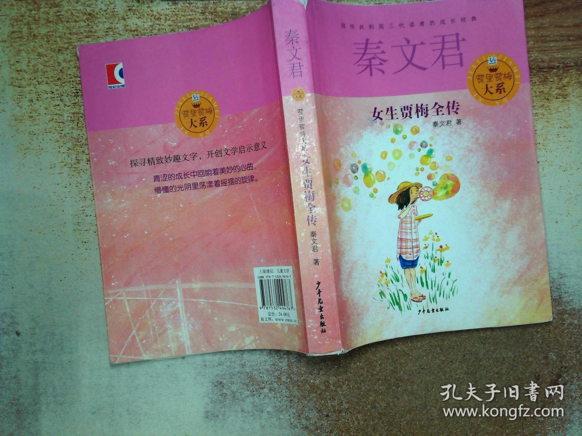 贾里贾梅大系:女生贾梅全传