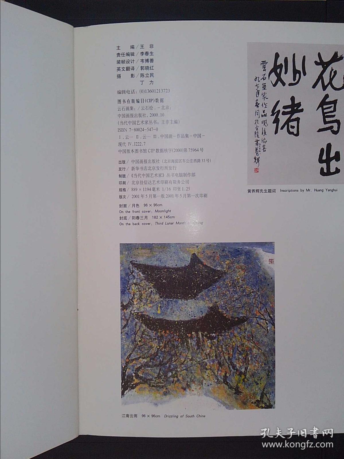 《当代中国艺术家》丛书:云石画集