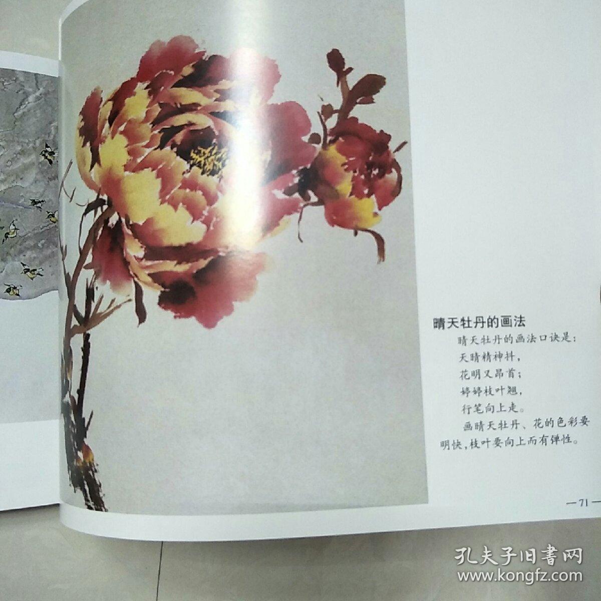 孙玉德牡丹画册,写意牡丹系列教学,中国画