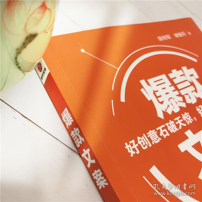 正版 爆款文案 好创意石破天惊好文案一字千金 让文案