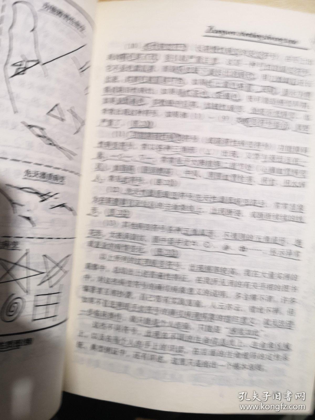 简谱掌纹_曹格掌纹简谱(2)