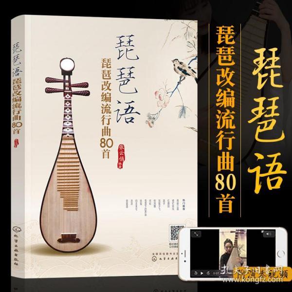 琵琶语琵琶版简谱_琵琶语简谱琵琶版d调(3)