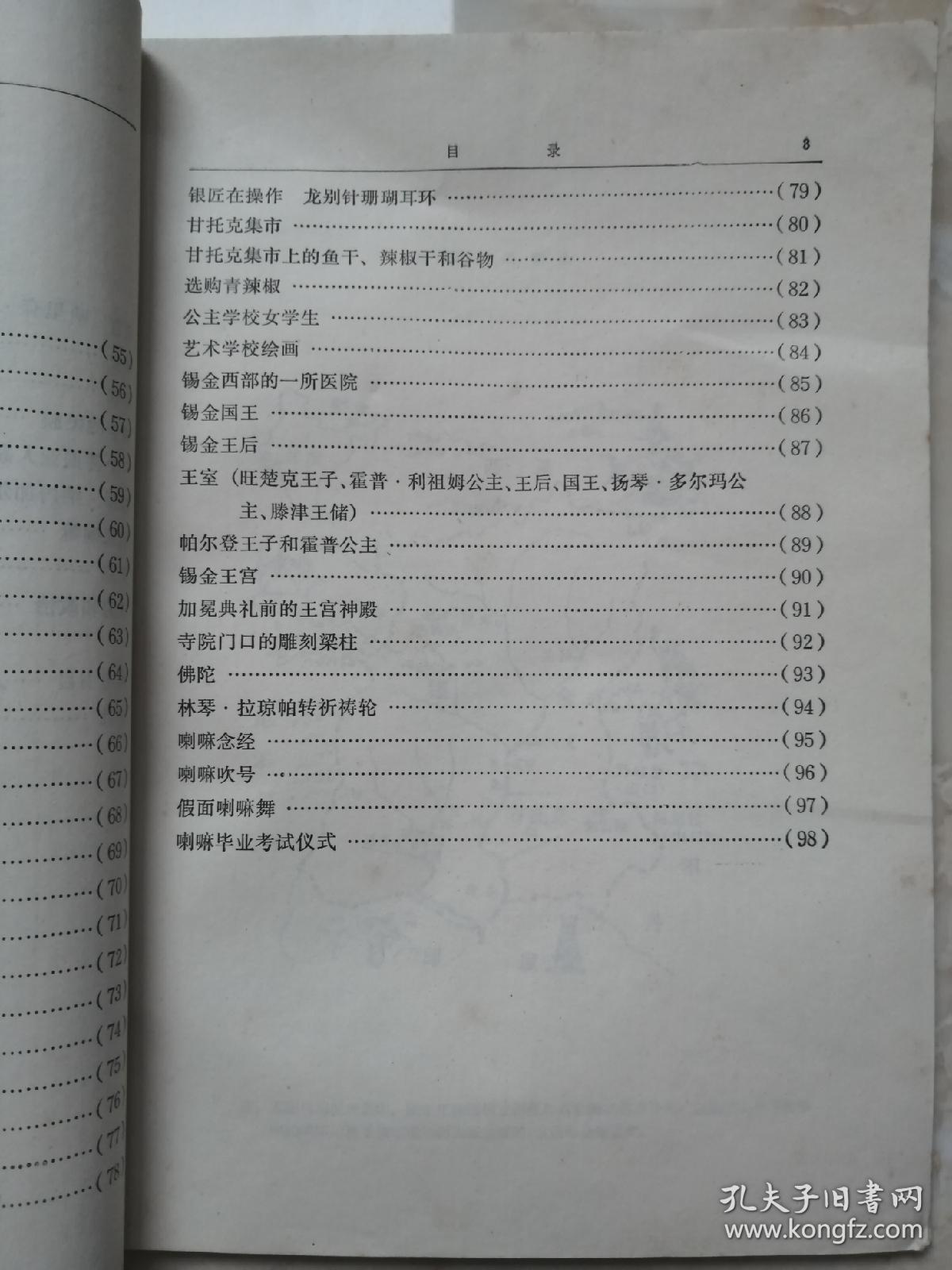 南亚人口视频_南亚人口(3)