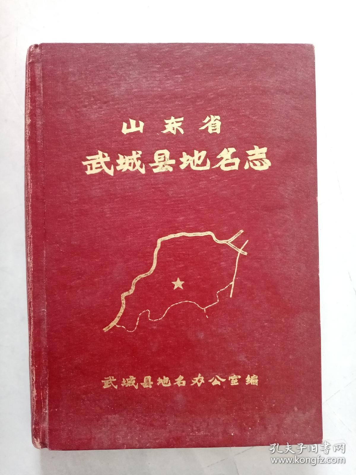 武城县志