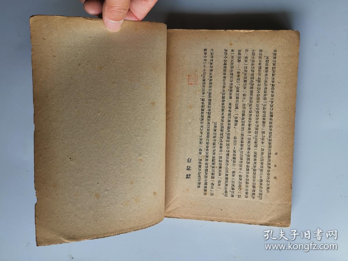 美学原理 什么是美_暴力美学是什么意思
