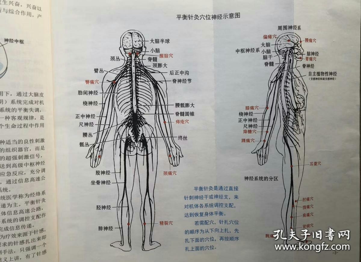 图解针灸 平衡针灸(原版)
