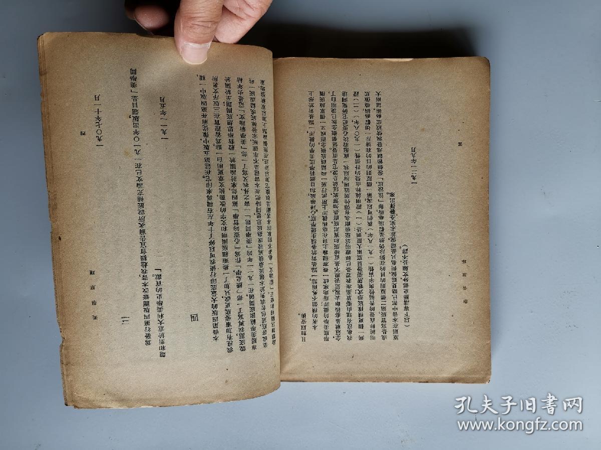 美学原理 什么是美_暴力美学是什么意思