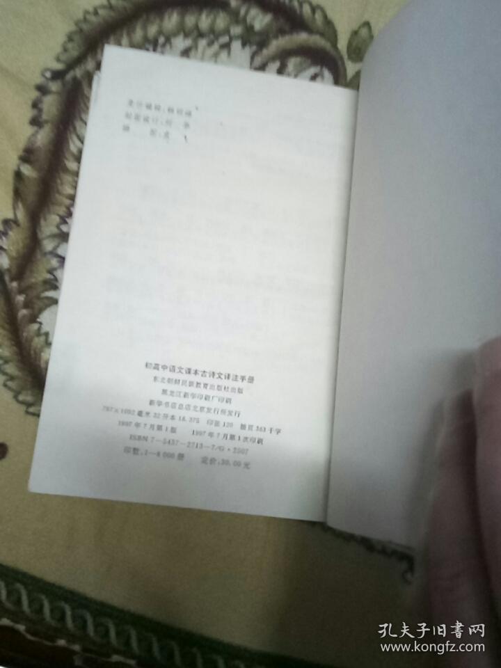 be0b6f8ad6956336_b.jpg
