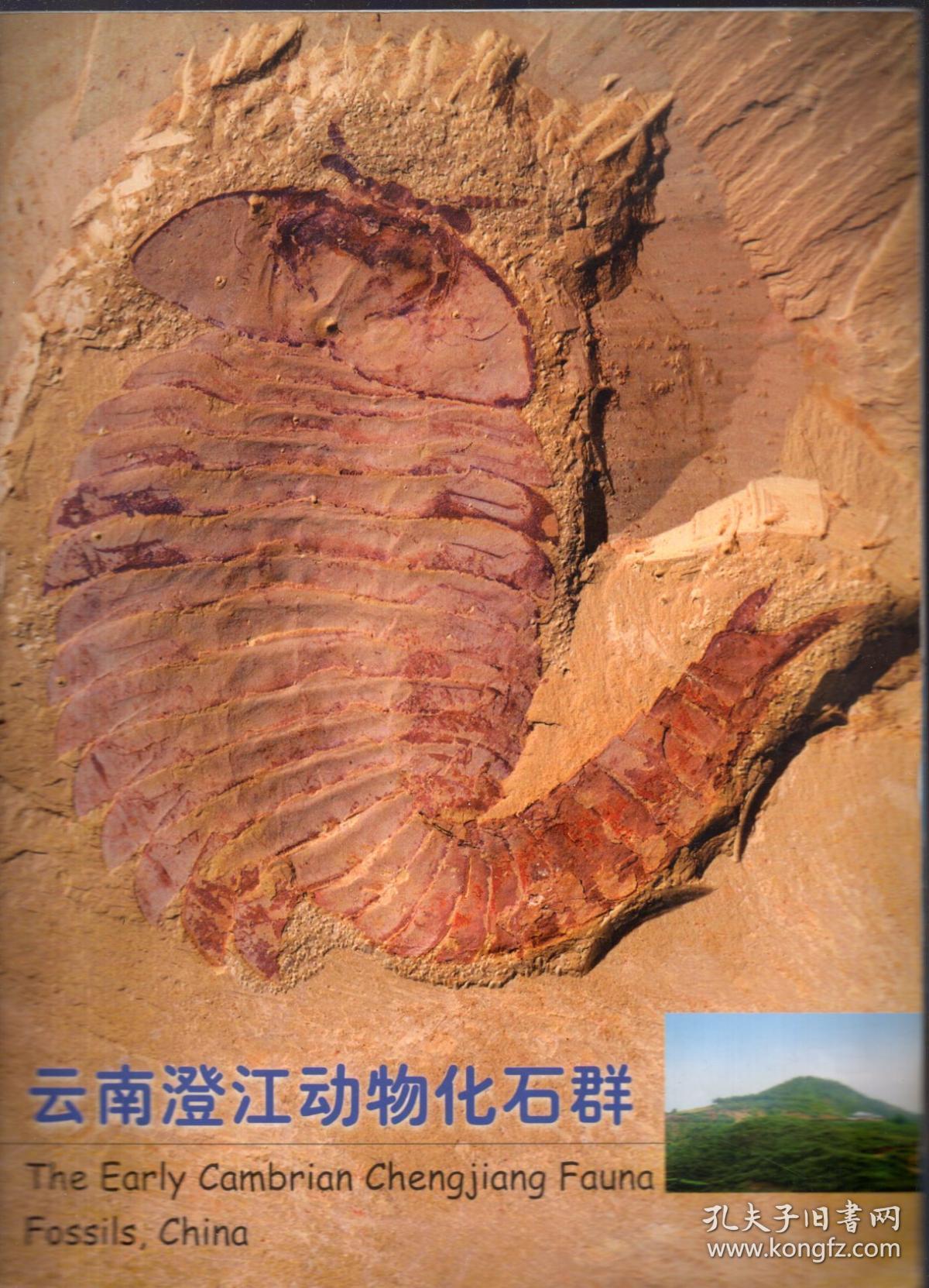 16开小画册《云南澄江动物化石群(全铜版纸图版)