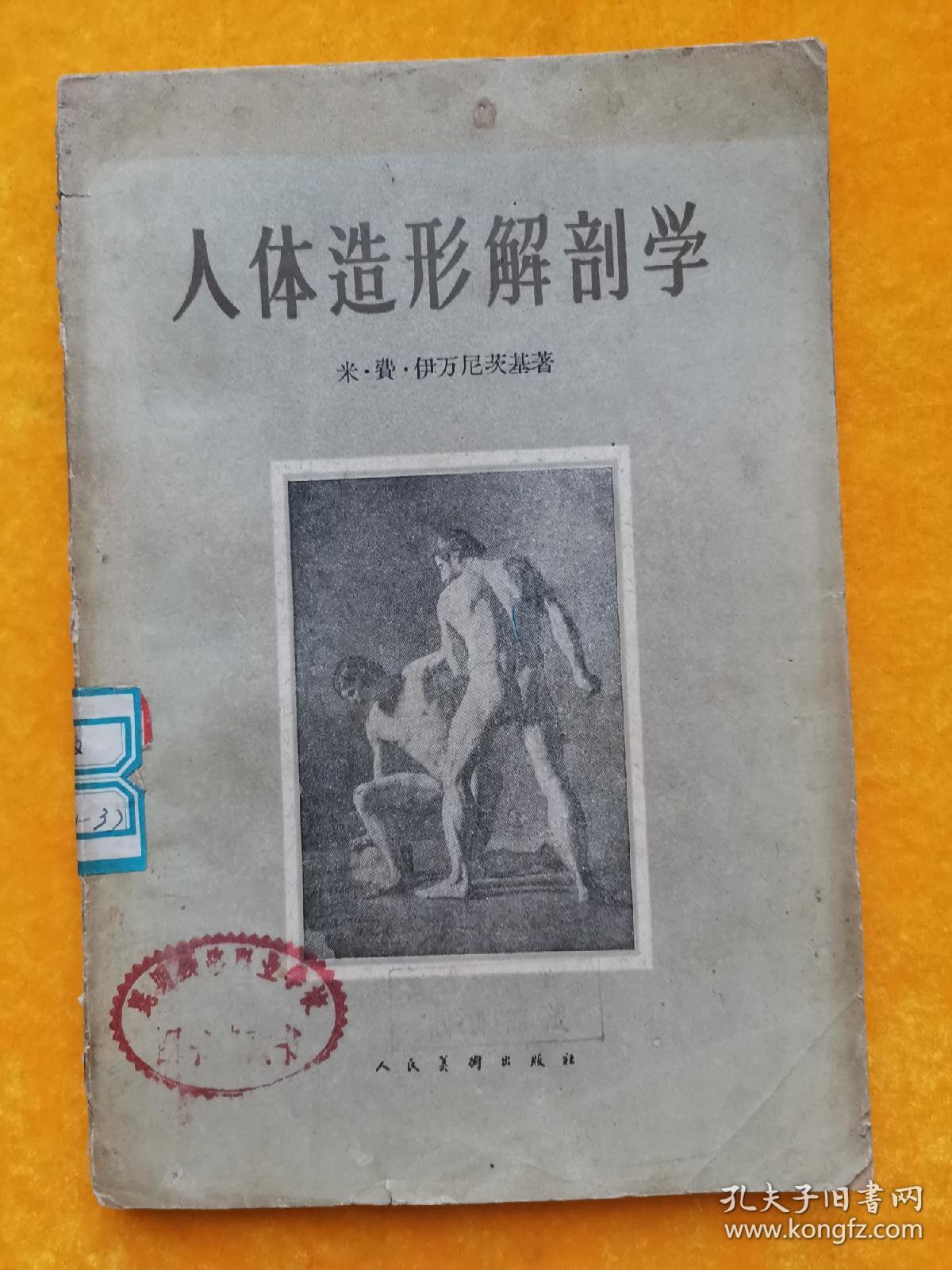 人体造型解剖学