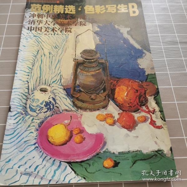 冲刺三大美术学院系列丛书·范例精选:色彩写生b
