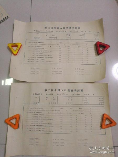 人口普查表格_人口普查表格模板(3)