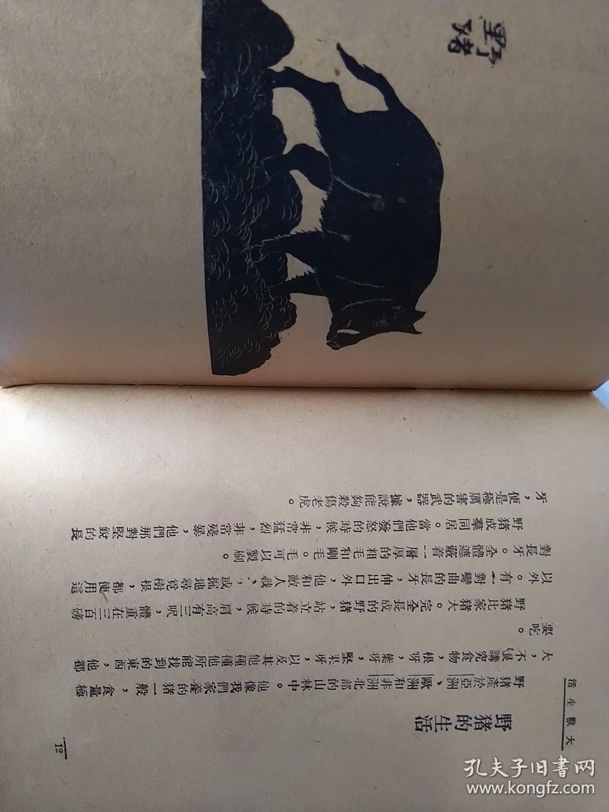 bf62cb26b544dcec_b.jpg