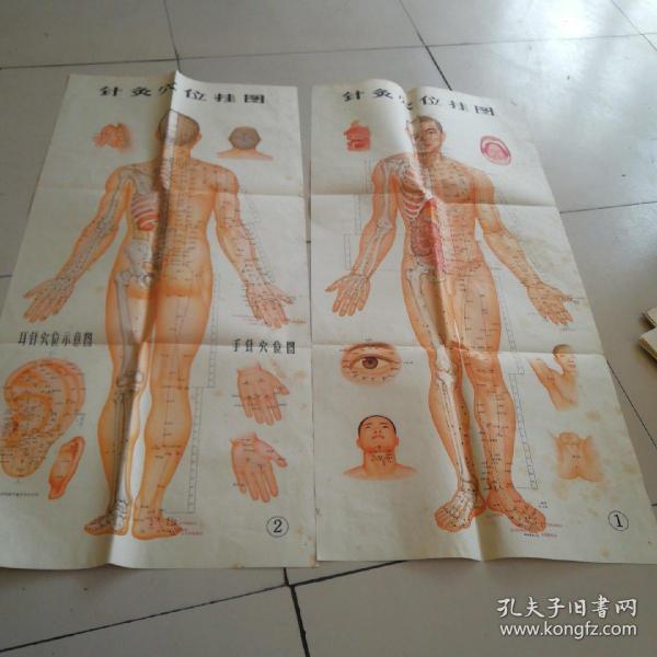 针灸穴位挂图(1)(2)(3)3张合售