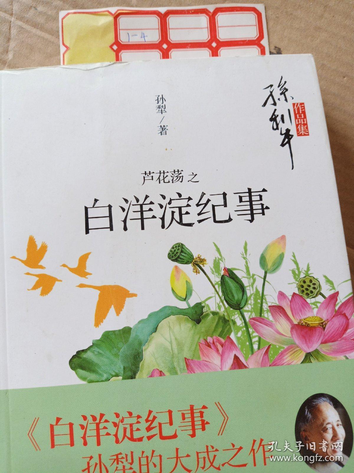 芦花荡之白洋淀纪事