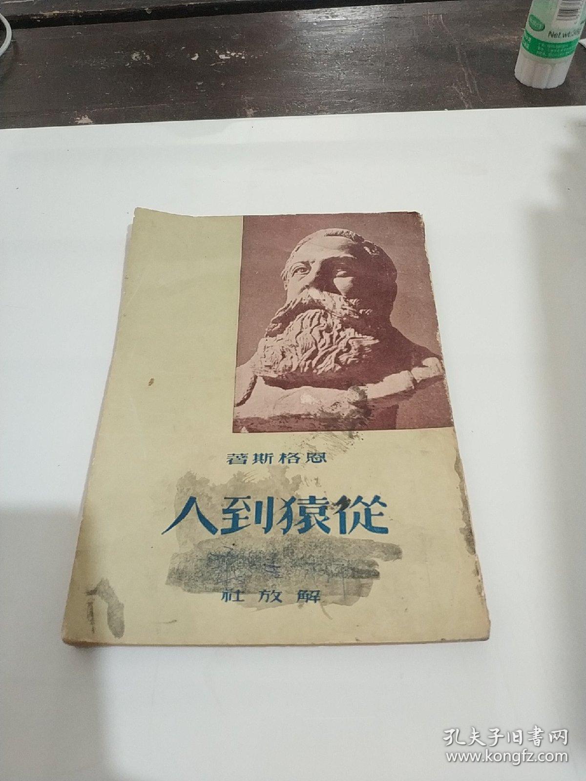 从猿到人_苏联·伊林,谢加尔著,仕之译_孔夫子旧书网