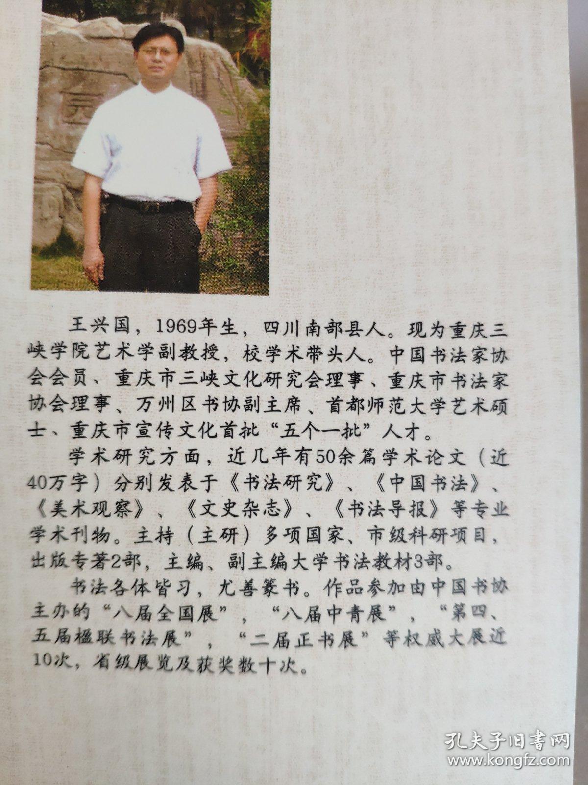 当代青年学者艺术论丛 多维视角下的当代书法批评 作者王兴国系重庆