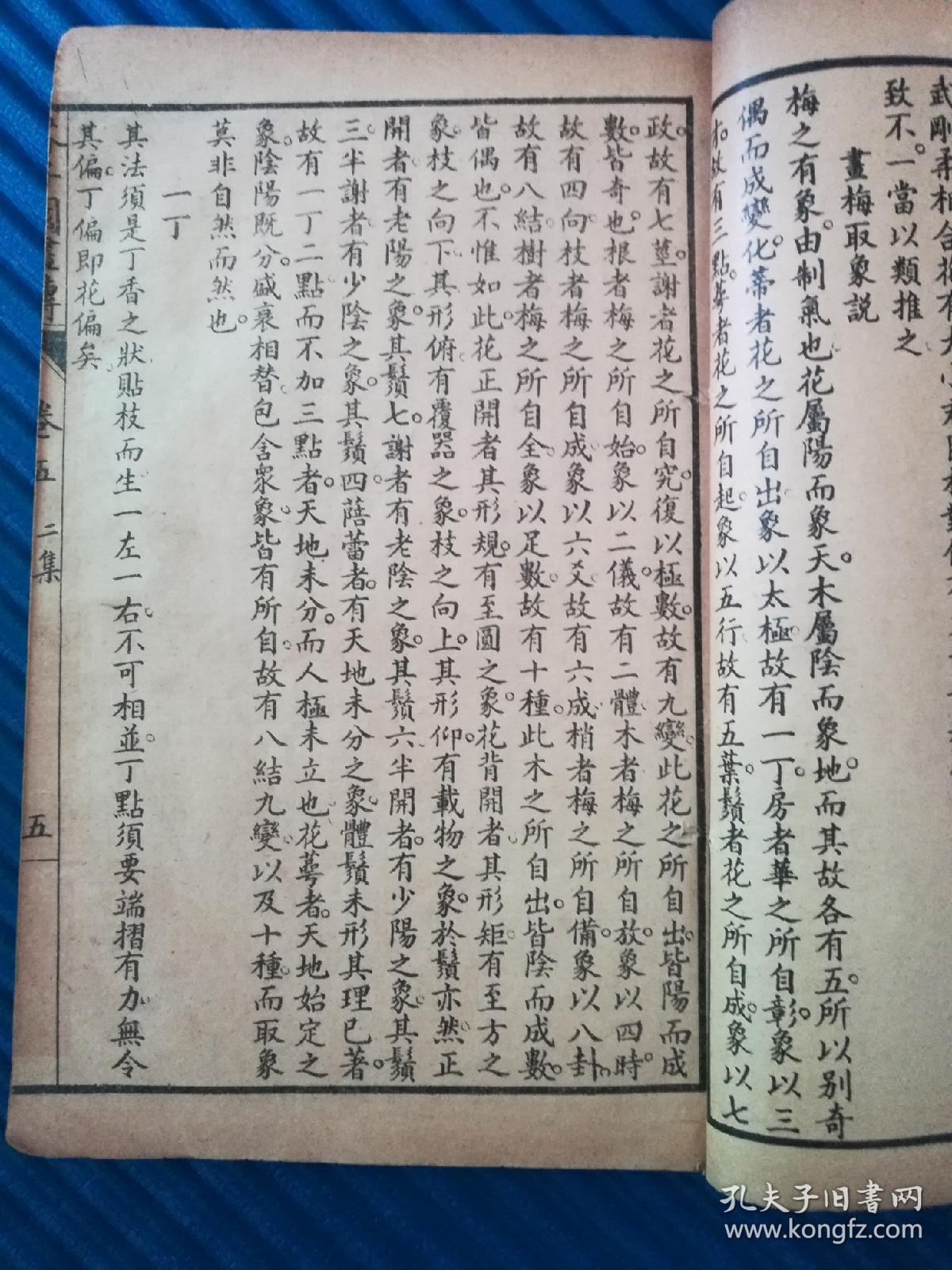 梅简谱(3)