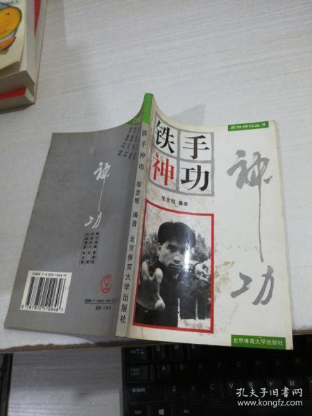 铁手 神功(武林 神功丛书)
