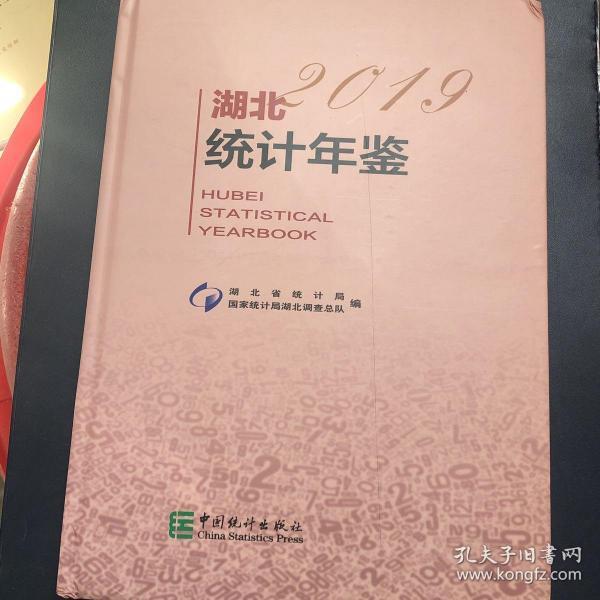 人口统计年鉴2019_统计年鉴图片