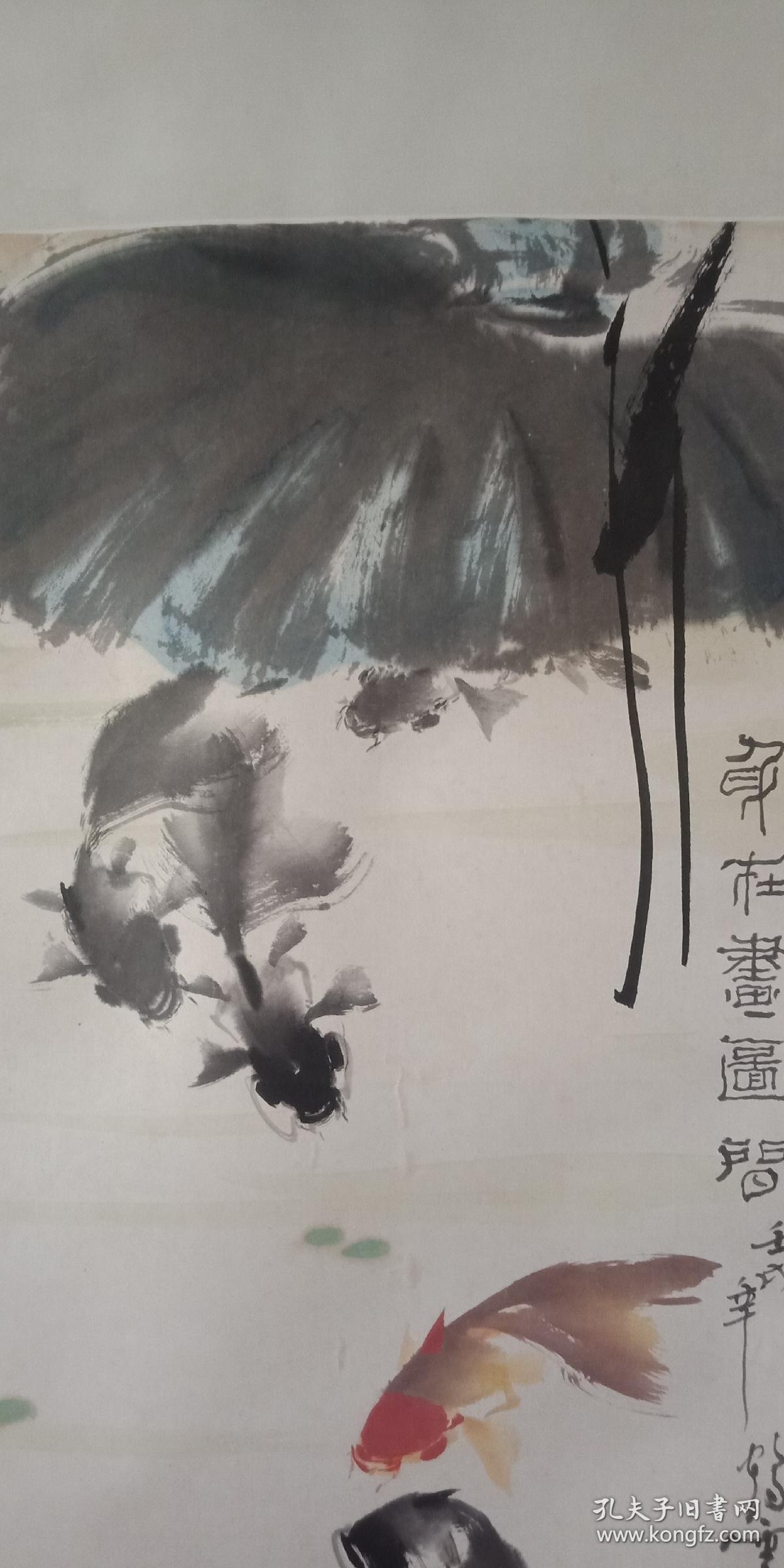 山东老画家 张鹤云金鱼花鸟画精品 画鱼大家