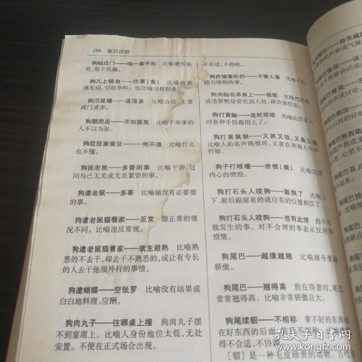 肖什么成语_成语故事图片(2)