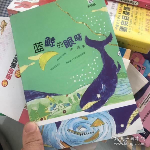 蓝鲸的眼睛