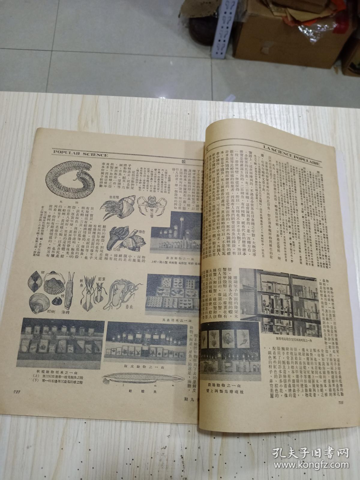 c516448a78a4296f_b.jpg