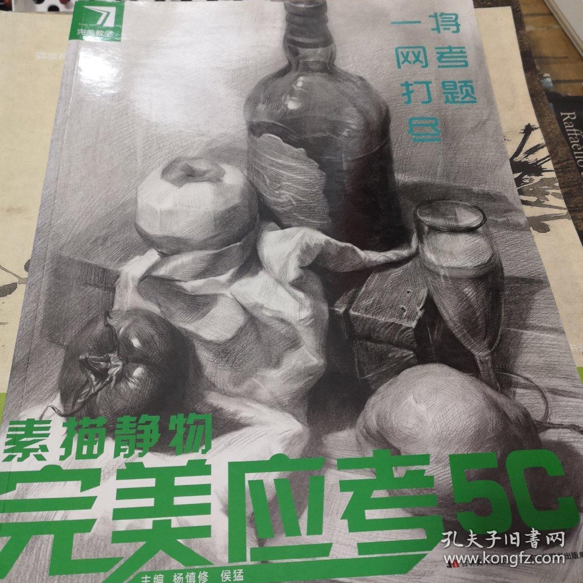 完美教学完美应考5c素描静物