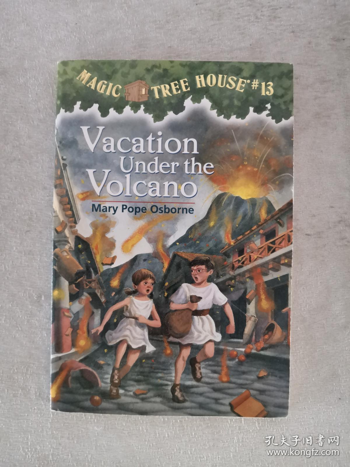 vacation under the volcano 英文原版童书