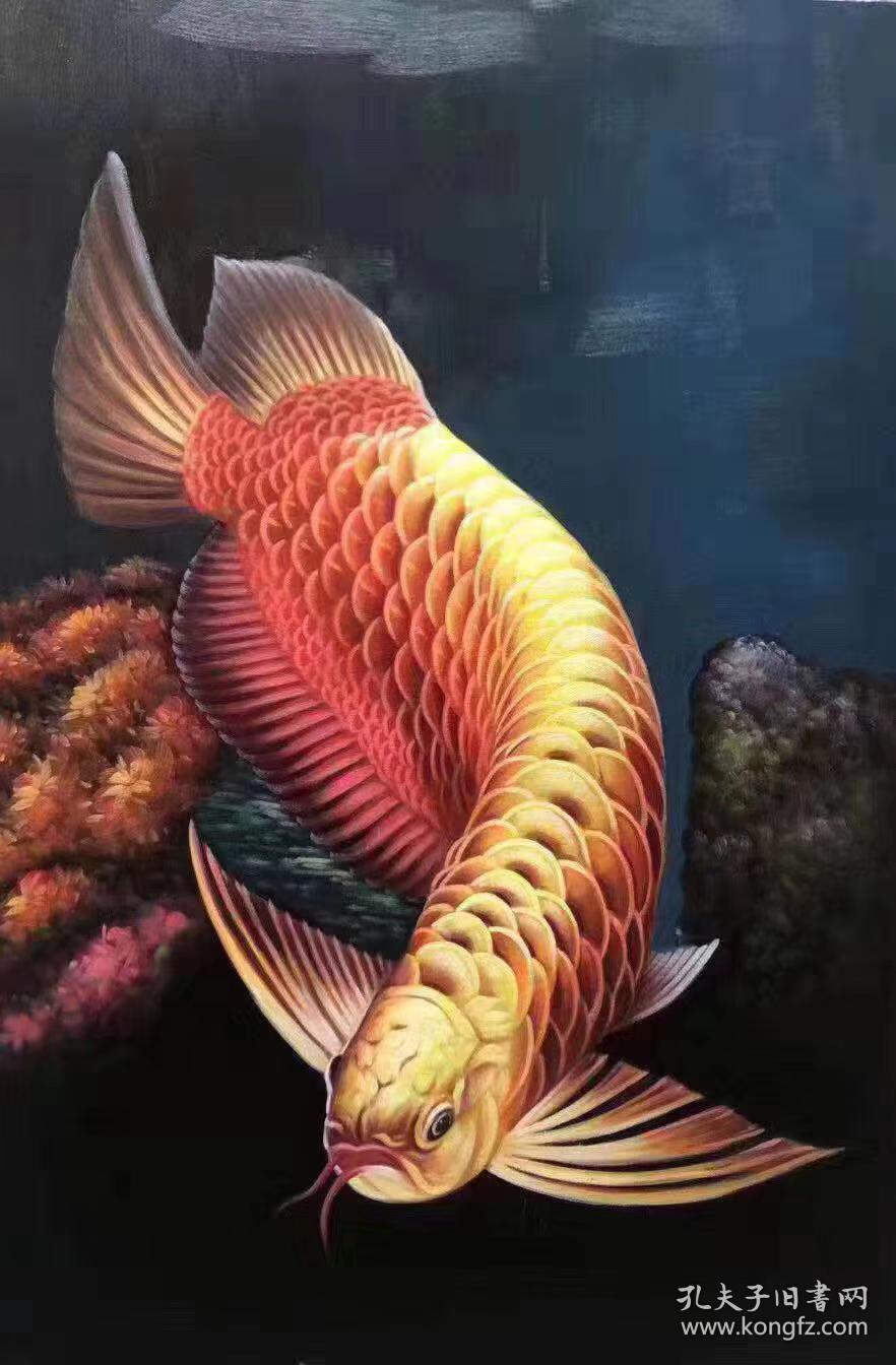 林金山老师油画作品 金龙鱼 可合影