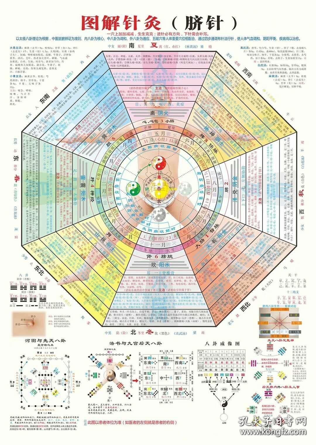 图解针灸(脐针挂图)高清技术大挂图,贴在墙上站在一米