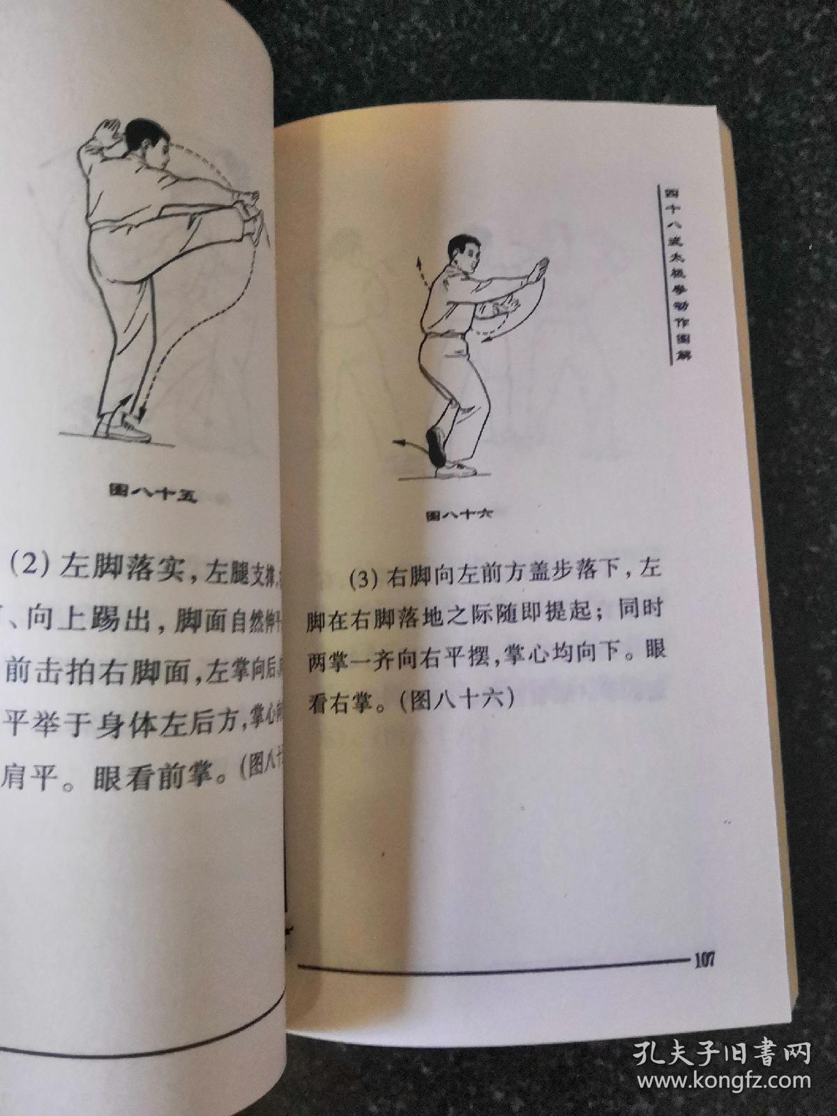 四十八式太极拳—太极拳普及系列丛书