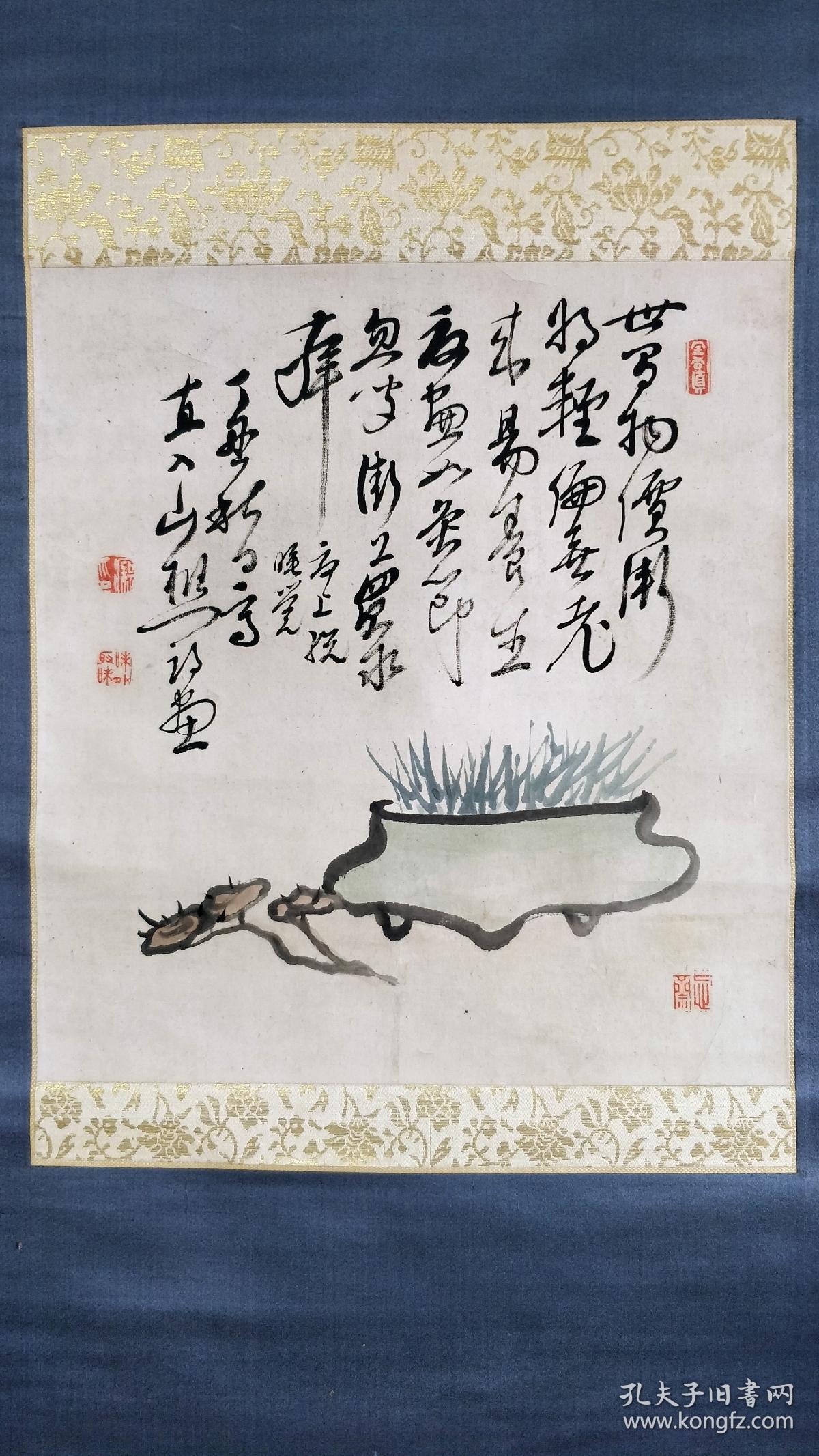 直入山樵精品菖蒲灵芝茶挂