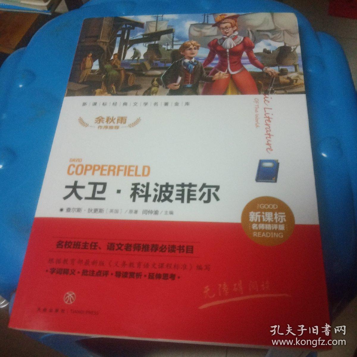 新课标经典文学名著金库名师精评版:大卫.科波菲尔