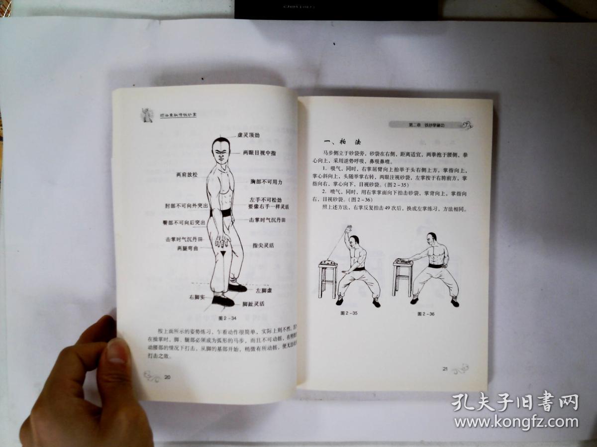 顾汝章秘传铁砂掌